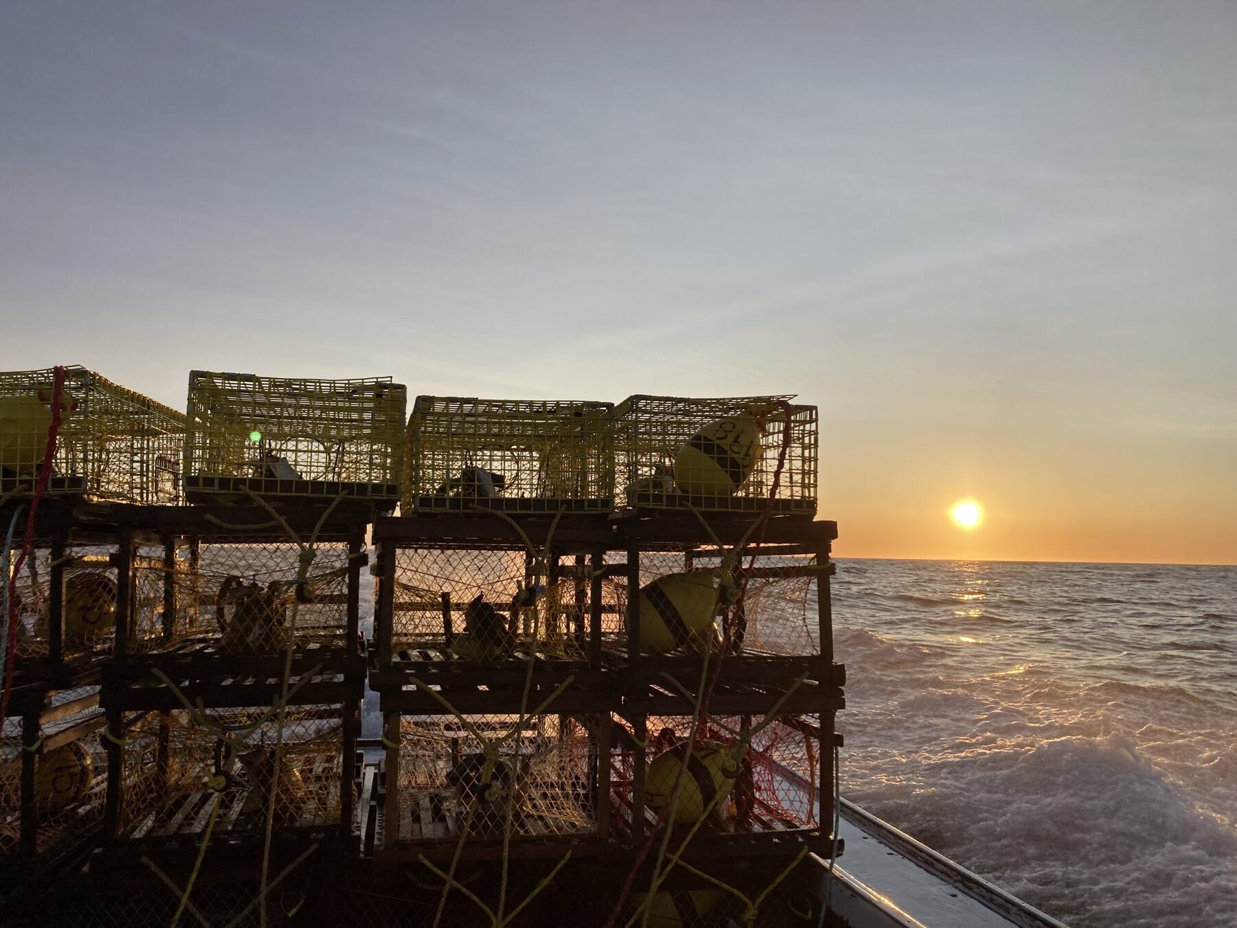 Lobster traps on a boat at sunset
